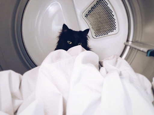 dryer repair